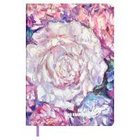 ���������� ��������������  ESCALADA, by VLAD KRAVCHUK, �6+, 120 �., ���. / 20 ����� (������:  126�17