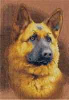 ����� ��� ��������� 