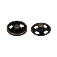 ������ ��������� 