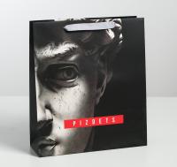 ����� �������������� ������������ Pizdets, M 26 ? 30 ? 9 ��   4725258