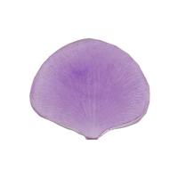 ���� �����������   FIO-M/01  01 