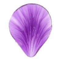 ���� ������� 