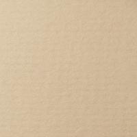 LANA ������ ��� �������, 160�, 21�29,7, ����-�����