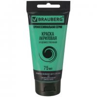 ������ ��������� �������������� BRAUBERG ART 