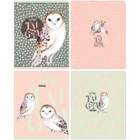 ������� 48�., �5, ������ BG 