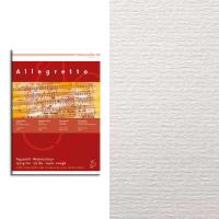 Hahnemuhle ������-������� ��� �������� Allegretto,������� ����� 