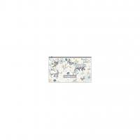�����-������� �� ������ ErichKrause� Natural Life, Card Size (� ������ �� 12 ��.)