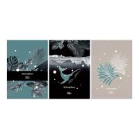 ������� 80�., �4, ������ BG 