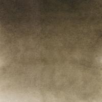 ����� �������� 