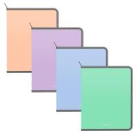 ����� ��� �������� �� ������ ����������� ErichKrause Matt Pastel Bloom, A4, ������� (� ������ �� 4 �