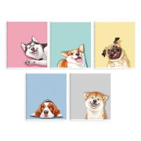 �������, 48 �, ������, ���. / 5 ������� ������ /�5+, ������ ������� (2 �����), ������� - ����������