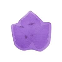 ���� �����������   FIO-M/04  03 