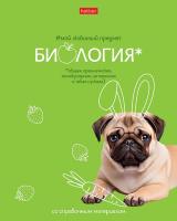 ������� ���������� 48� �5� � �����������.��������.���. ������ 60-65�/��.� �� ����� ���. ���.������ �