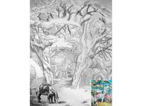 ����� ����� �� ������� � ��������, ������, 30�40 ��