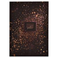 ���������� �������������� DIARY ���.  ������� ����� / �5, 80 �., ������ �������, ������������ ����