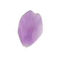 ���� �����������   FIO-M/01  05 