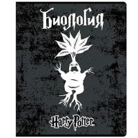 ������� ����������, 48�., Centrum 