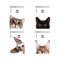 ������� �� ������� ErichKrause ������, �6, 80 ������, ������_MIX-PACK