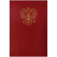 ����� �������� � ���������� ����� 220*310, ��������, �������������� ��������