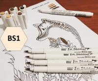 �����-������, �����, ���������� ������� �� ������ ������ Sahara MAR4600FS/BS1