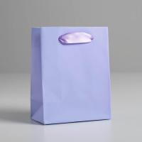 ����� ���������� 11,5 ? 14.5 ? 6 ��, ���������, ��������������