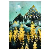 ���������� �������������� DIARY ���.  � ����� / �5, 80 �., ������ �������, ������������ ������, ��