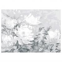 ����� ����� �� ������� � �������, �����, 30�40 ��