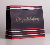 ����� ��������� �������������� Congratulations, ML 27 ? 23 ? 11.5 ��   4795396