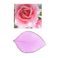 ���� ��� ���������� 