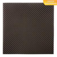 ������ ��� ������������ � �������������� ������, 10 ������, 30.5 ? 30.5 ��, 250 �/�