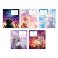 ������� �������� �����������, 24 �, ������, ���. / 10 ����� ���� /�5+, ������ ������� (2 �����), ��