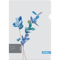 �����-������ Berlingo 