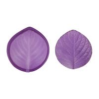 ���� �����. ������������   FIO-D/02  01 