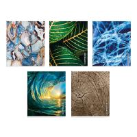 ������� 96�., �5, ������ ������ 