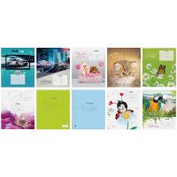 ������� 12�. ����� 