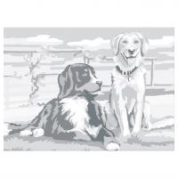 ����� ����� �� ������� � �������, ������, 30�40 ��