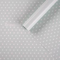 ������ ����������� ��������� ������������� �������, 70 ? 100 �� 4702725