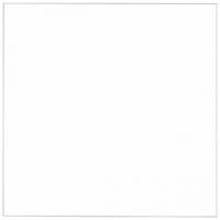 FOLIA ������ �������, 300 �/�2, A4, 10 �, �����
