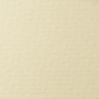 LANA ������ ��� ������� �Lana Colours�, 160 �/�?, 70�100 ��, 10 �, ��������