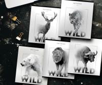 ������� 48�., �5, ������ ���� 