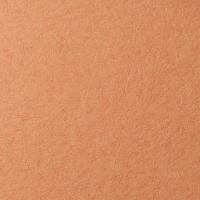 LANA ������ ��� �������, 160�, 21�29,7, ����