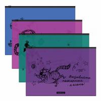 �����-������� �� ������ ErichKrause� Zen Cats, A4, ������� (� ������ �� 12 ��.)