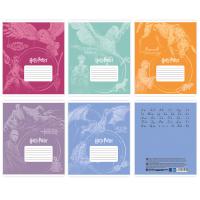 76993 ������� ����� ������, ������ �5, �� �������, 24 �����, ������� � ������, ���������� ���� �����