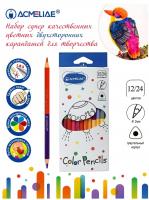 ����� ������� ������������ ����������� ���������� ACMELIAE 12��/24��. � ��������� �������, C12-24