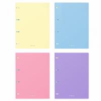 ������� ����� � ����������� �������� �� ������� ErichKrause� Pastel, �������, �4, 80 ������, ������