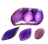 ���� �������  