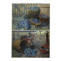 ���������� ����� 