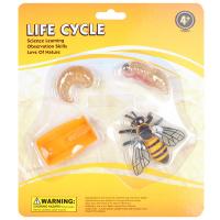 ������� � ������ 