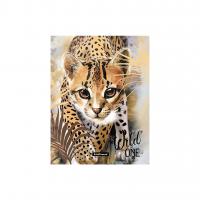 ����� 20� ����������� ErichKrause� Wild Cat,  A4