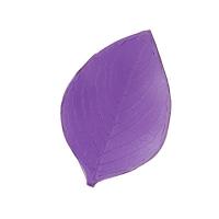 ���� �����������   FIO-M/01  03 